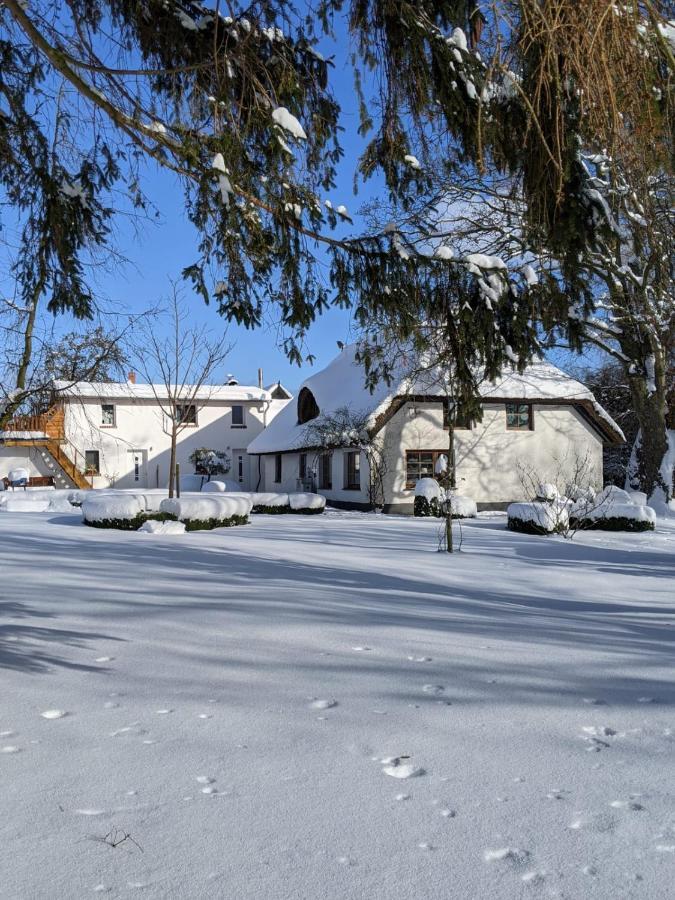 Апартаменты Neuenkirchen Moritzhagen Экстерьер фото